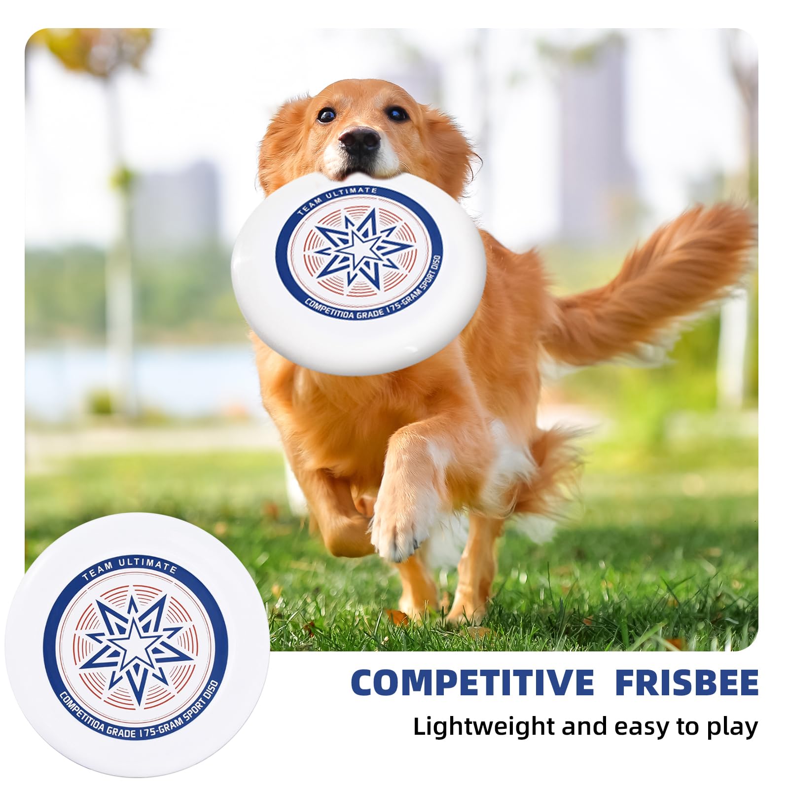 Frisbee de compétition, disque volant sportif ultime, disque de compétition professionnel, pour les sports de plein air amusants, convient aux joueurs occasionnels et aux professionnels (sac de