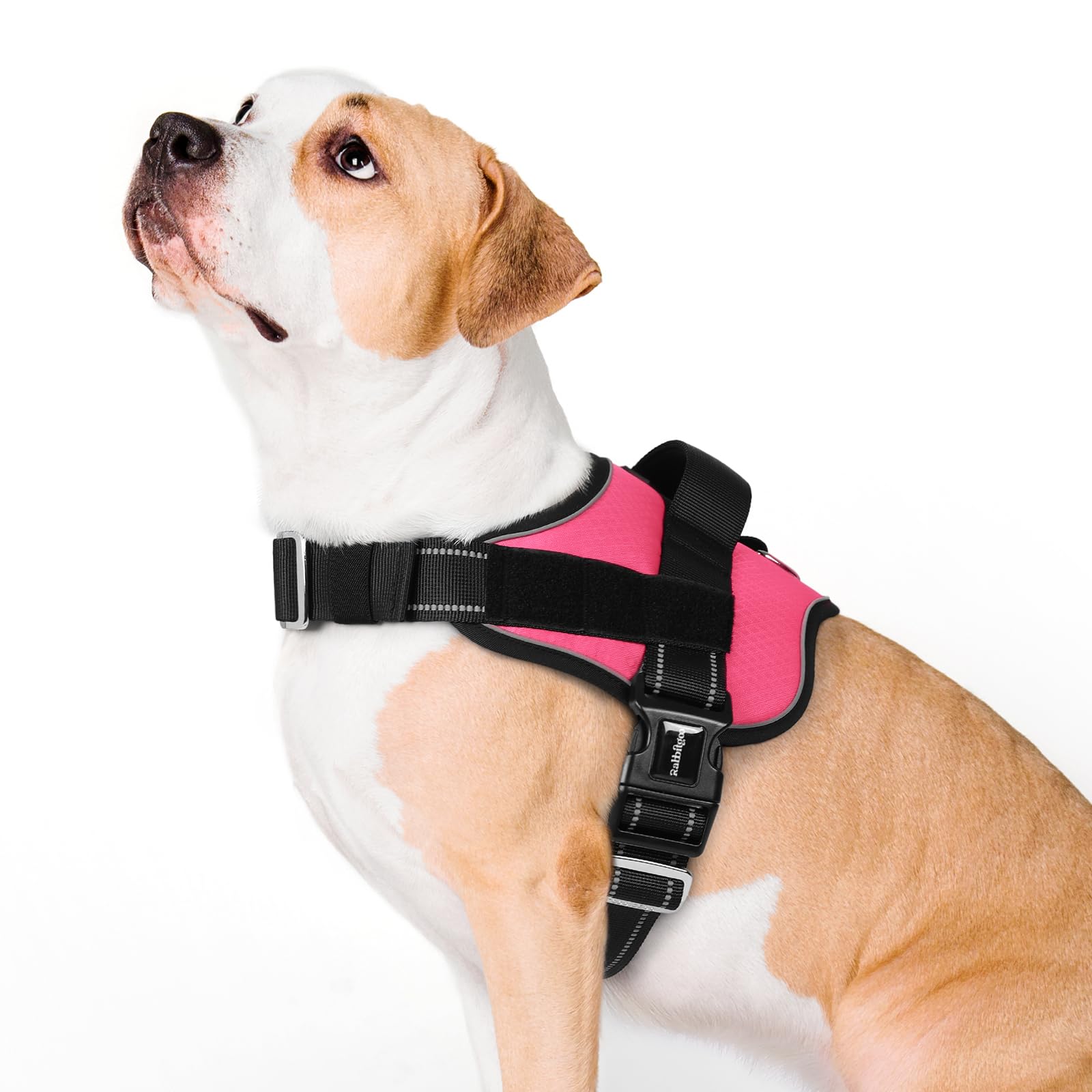 rabbitgoo Dog Harness for Large, Easy On Pet Vest with One Buckle, No Pull Adjustable Service Harness with D-Ring & Handl...