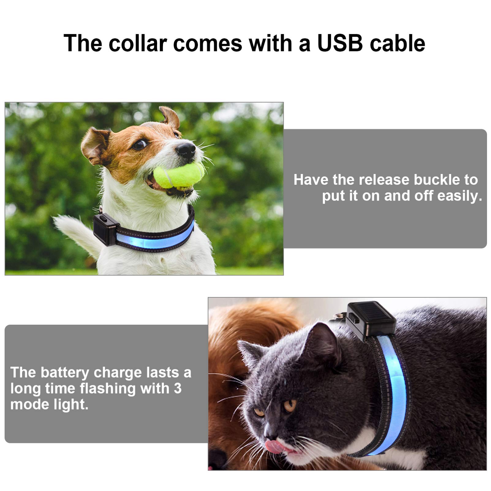 FRCOLOR 3 Ensembles Collier Lumineux pour Animaux De Compagnie Lumière Menée De Chien Animal De Compagnie Embrasé Nouveaux pour La Maison Câble Réseau en Nylon Briller Corde De Cou