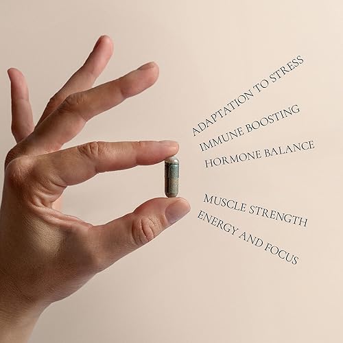 Miniatura 6 de HIFAS DA TERRA Optimum - Paquete de bienvenida para hombres, suplemento de hongos, complejo de hongos con cordyceps y melena de león, pastillas de