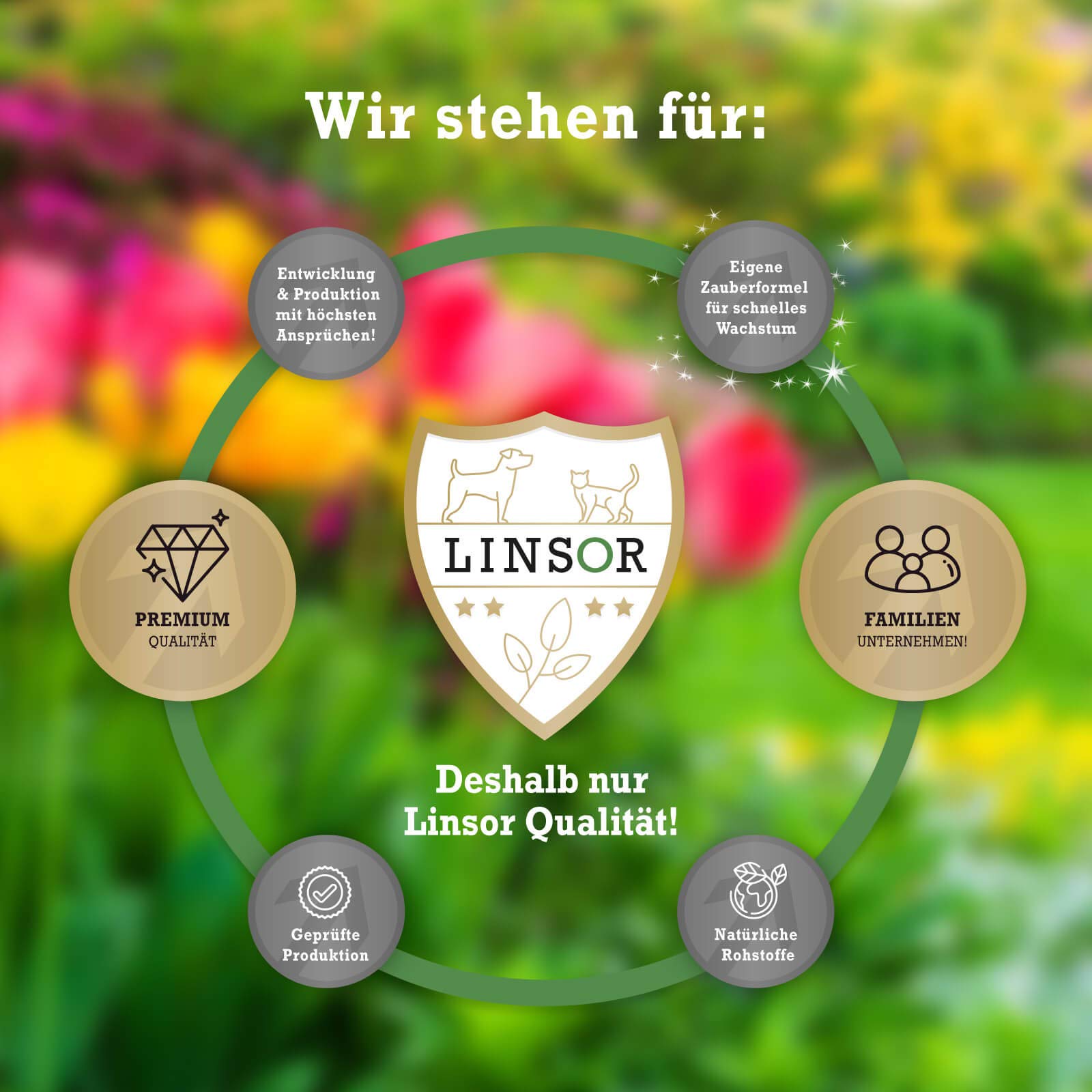 Kräuterrasen, 1kg für 100m², Wildwiesen Samen für duftenden Naturrasen, winterharter Kräuter Rasen, Saatgut Mischung