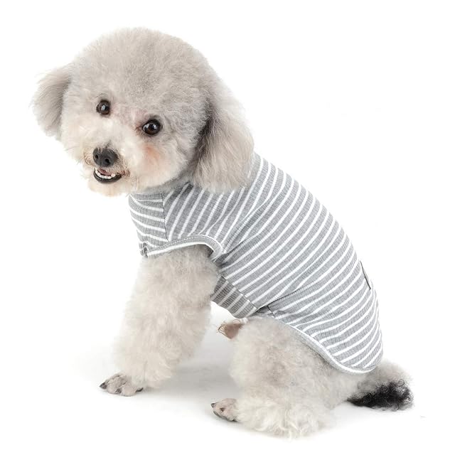 Foto 2 de 7 de SMALLLEE_LUCKY_STORE Ropa para Mascotas