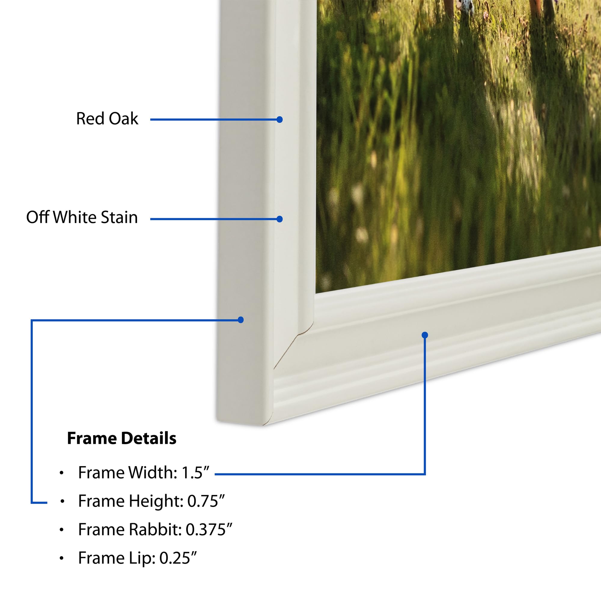 Amazon.com - ArtToFrames 15x18 Inch White Picture Frame, This 1.50