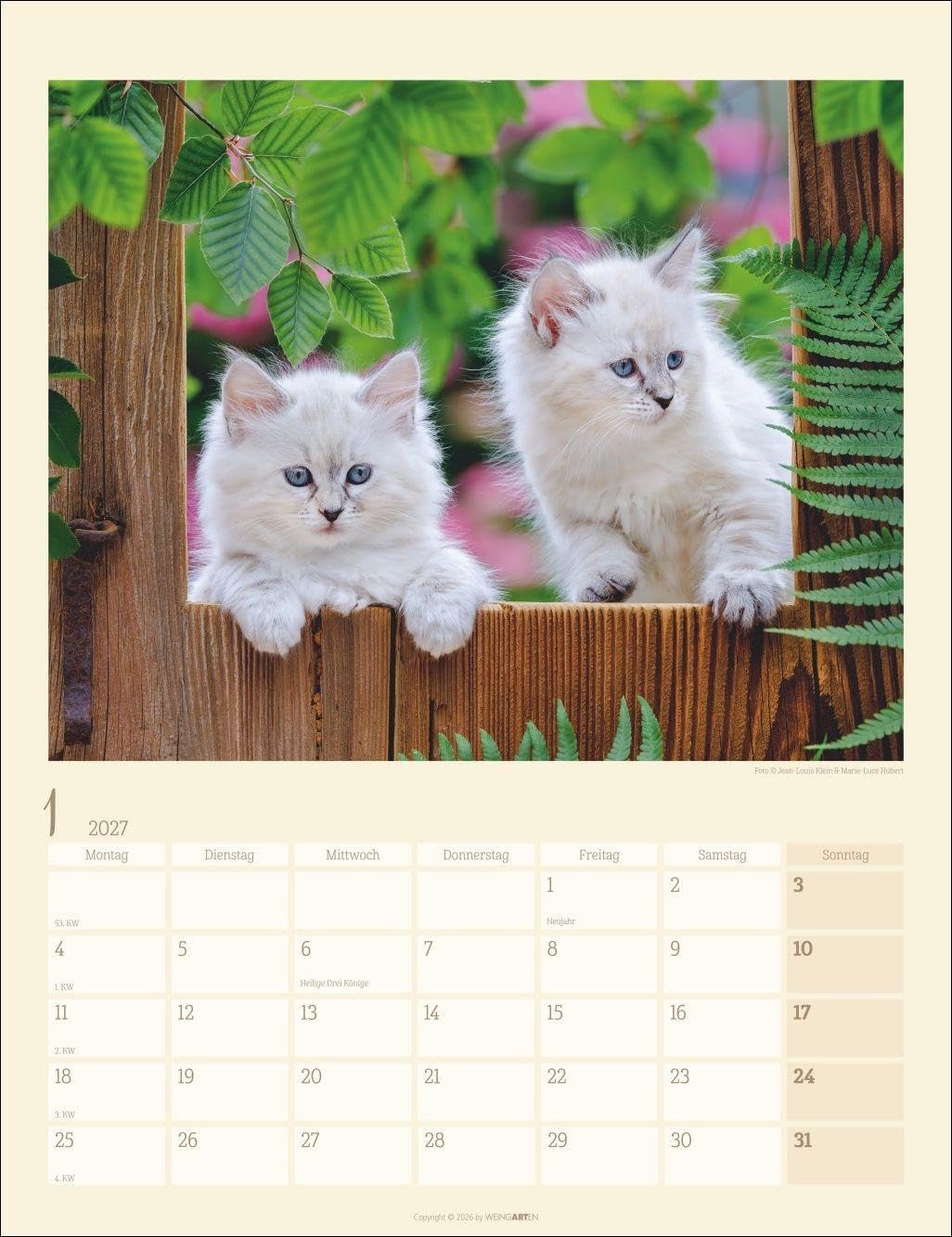 Katzen auf dem Lande Kalender 2027: Süße Kätzchen in ländlicher Idylle: Ein Foto-Kalender zum Dahinschmelzen. Planer mit Platz zum Eintragen. Hochformat 30 x 39 cm