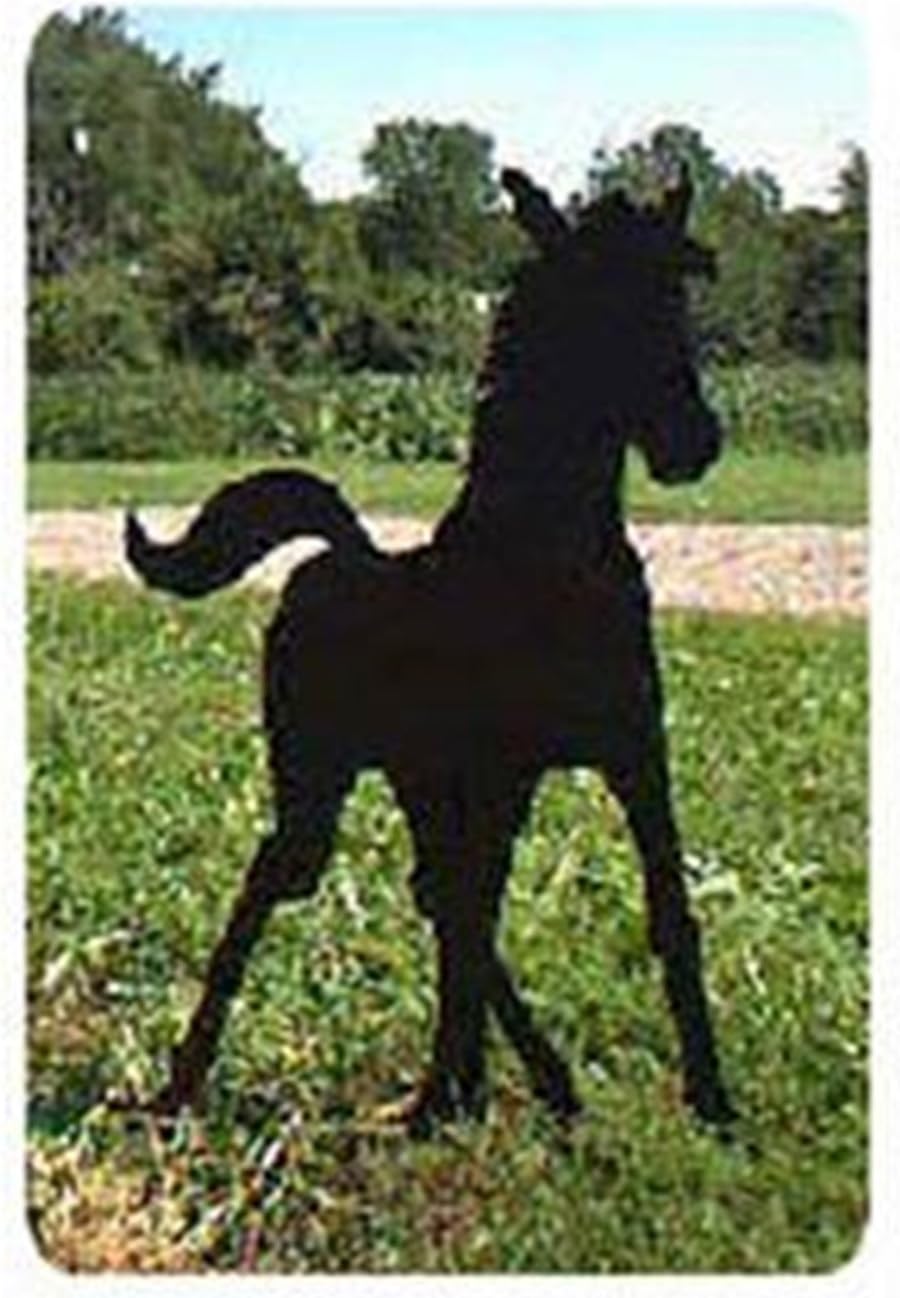 Woodcraft Project Paper Plan To Build Spring Foal Shadow - Material Not Included