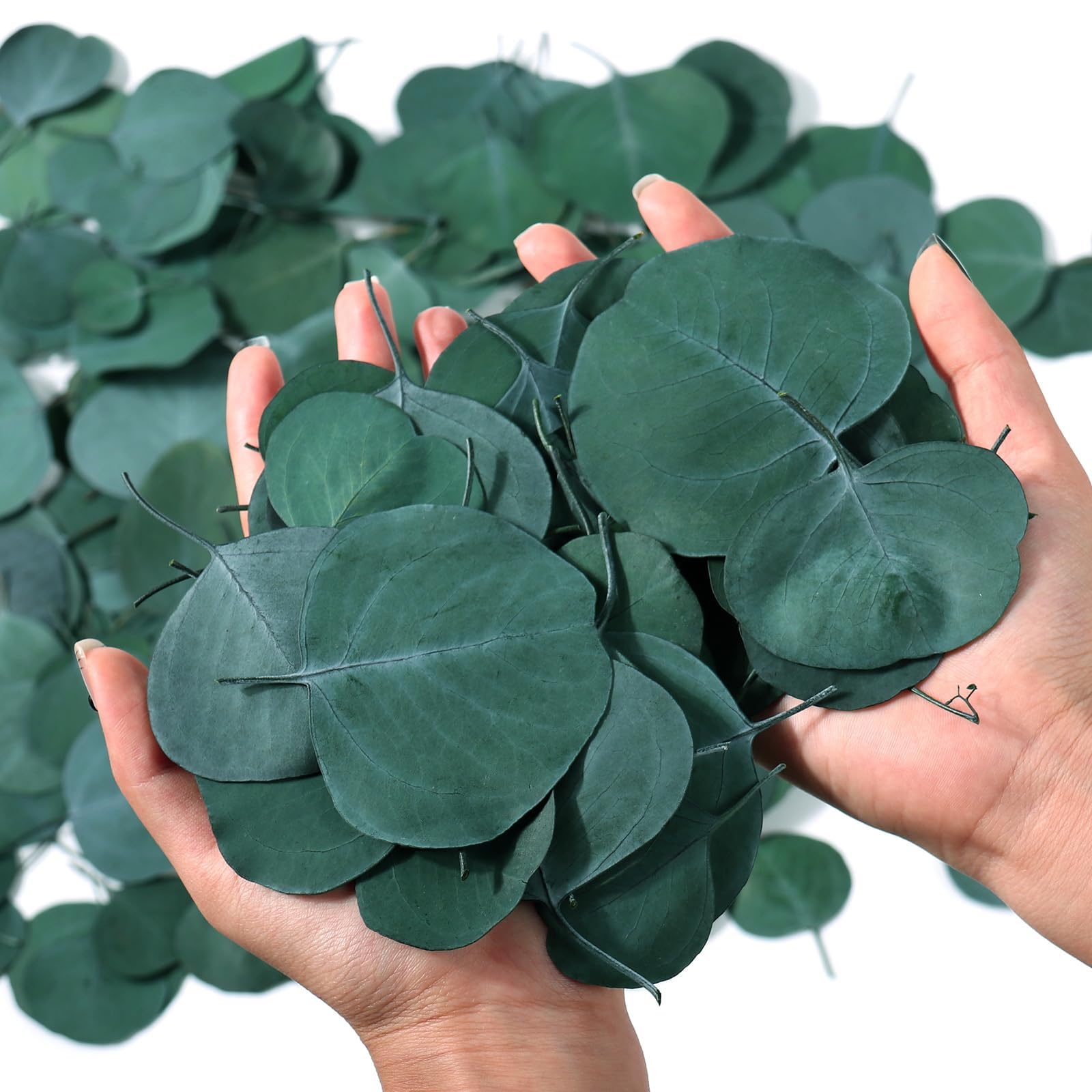 400+ Pcs Dried Preserved Real Eucalyptus Leaves for Wedding Table Decor, Natural Green Biodegradable Confetti for Baby Shower, Craft 6oz 170g