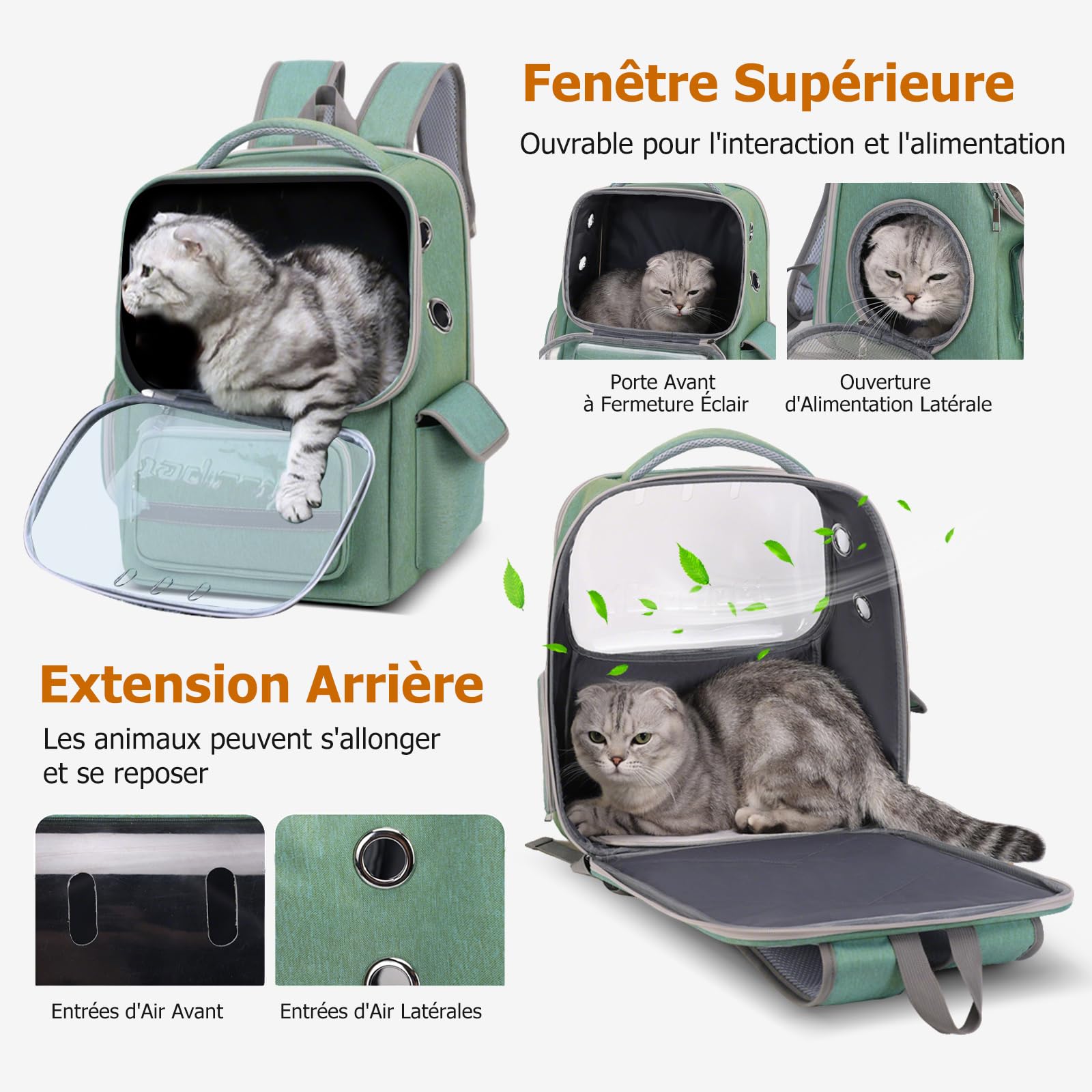 PETCUTE Sac à Dos de Transport pour Chat, Sac à Dos Respirant pour Petits Chats et Chiens avec Tapis Amovible, Réfléchissant,Sacs de Transport pour Chat avec Sangle de Sécurité Intérieure,Vert
