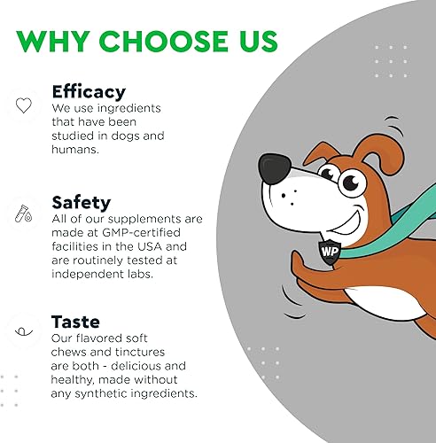 Miniatura 6 de Masticables para cadera y articulaciones, además de hierba héroe, para la salud de las articulaciones del perro, apoyo de movilidad, cuidado del