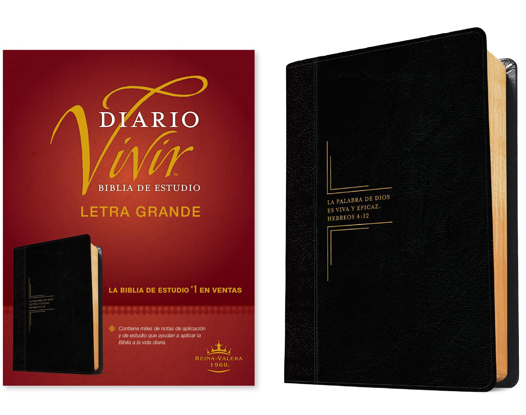 Biblia de estudio del diario vivir RVR60, letra grande