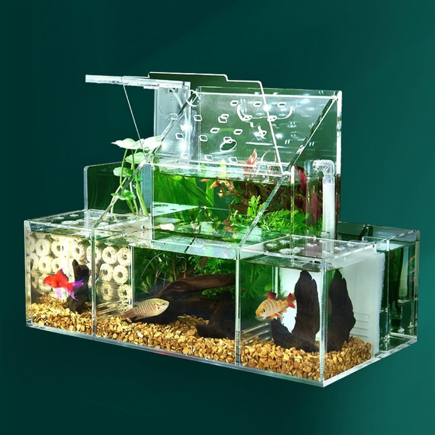 Castillo de hormigas de acrílico Caja de aislamiento especial for incubación de acuicultura de escritorio, bomba de filtro de agua circulante, decoración for pecera de oficina en casa, pecera for pece