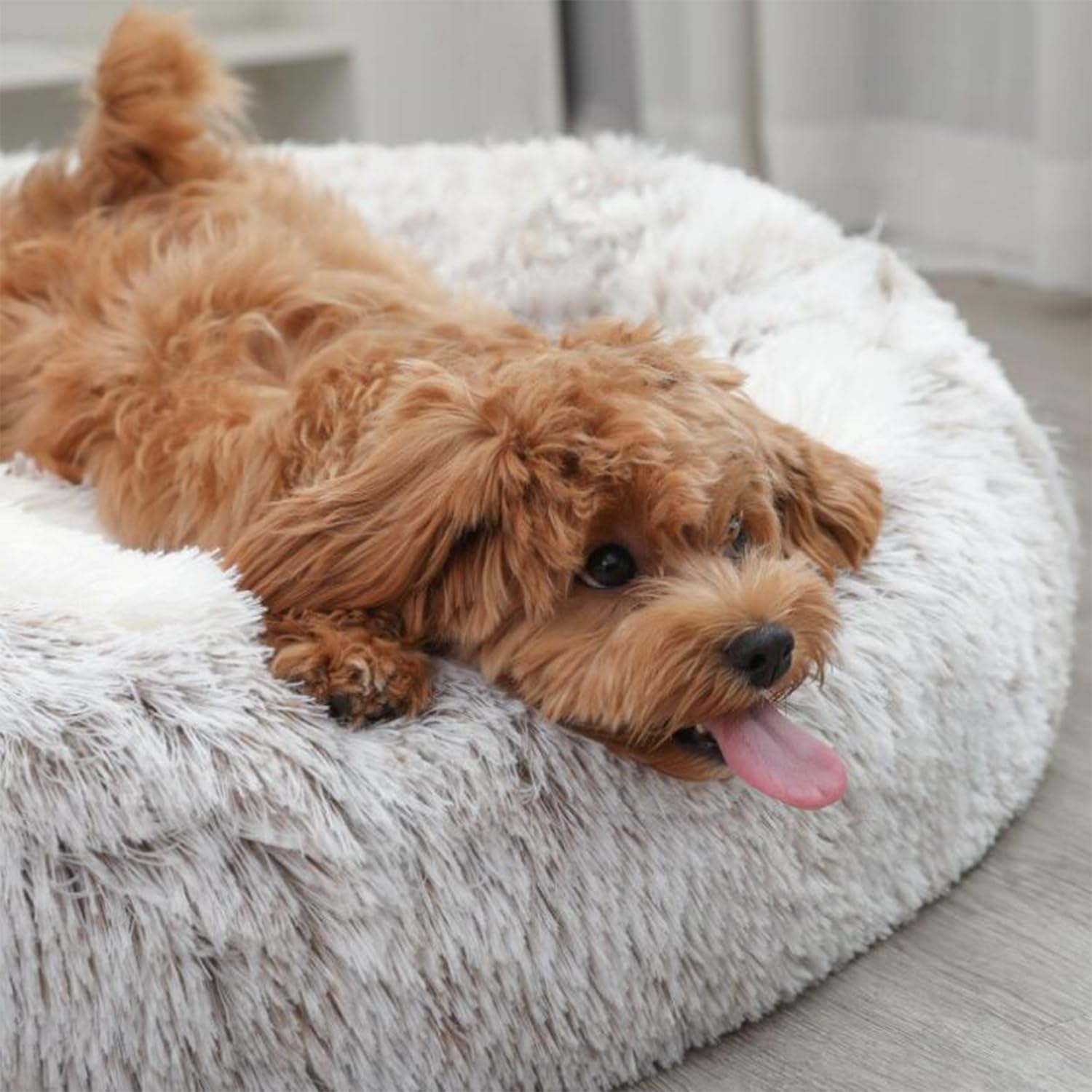 Lettino per Animali Domestici Letto Ortopedico per Gatti e Cani Cuccia Cane Interno Morbida e calda Adorabile cuccia per cani a forma di zampa d'orso di piccola e media (Caffè chiaro, 65cm)