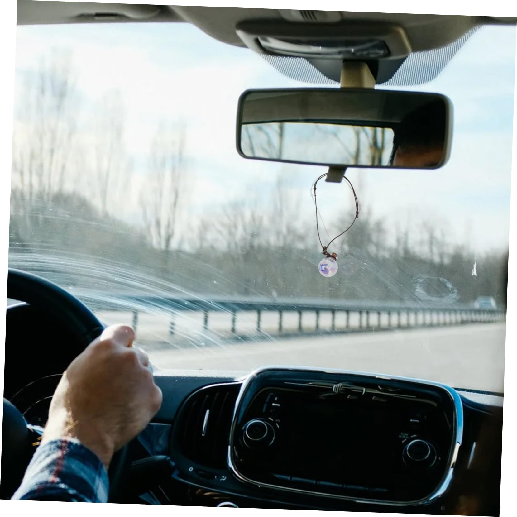 GLEAVI 20piezas Botellas De Perfume Colgantes Para Auto De Decoración De Aromaterapia Flores Secas Accesorios Para Vehículos Para Oficina y Hogar