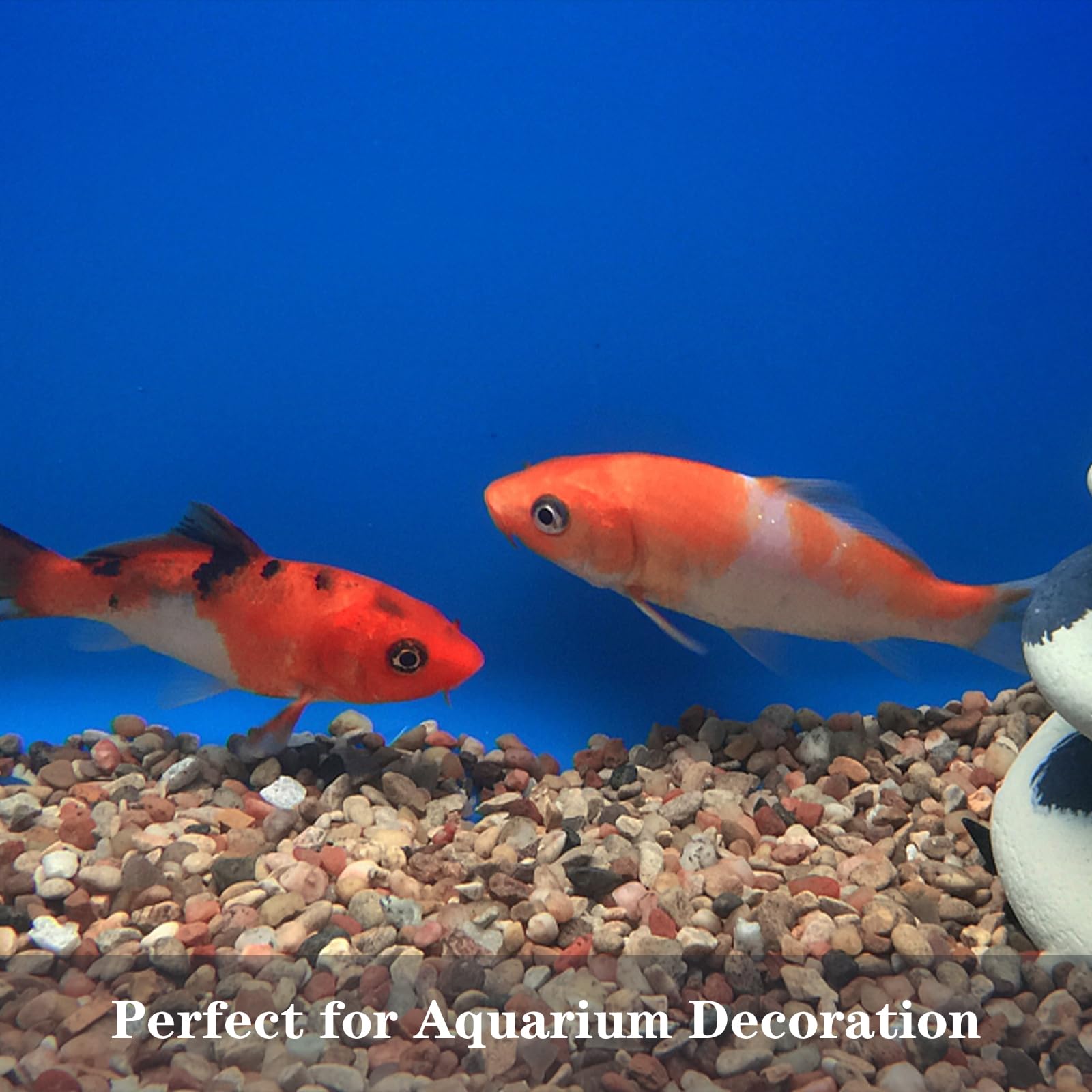 5lb Mixed Color Silica Gravel Pebbles, 1/5 inch Decorative Stones for Succulents, Pebbles for Vases,Plants Rocks, Aquarium Sand, Top Dressing, Outdoor Decorative Rocks