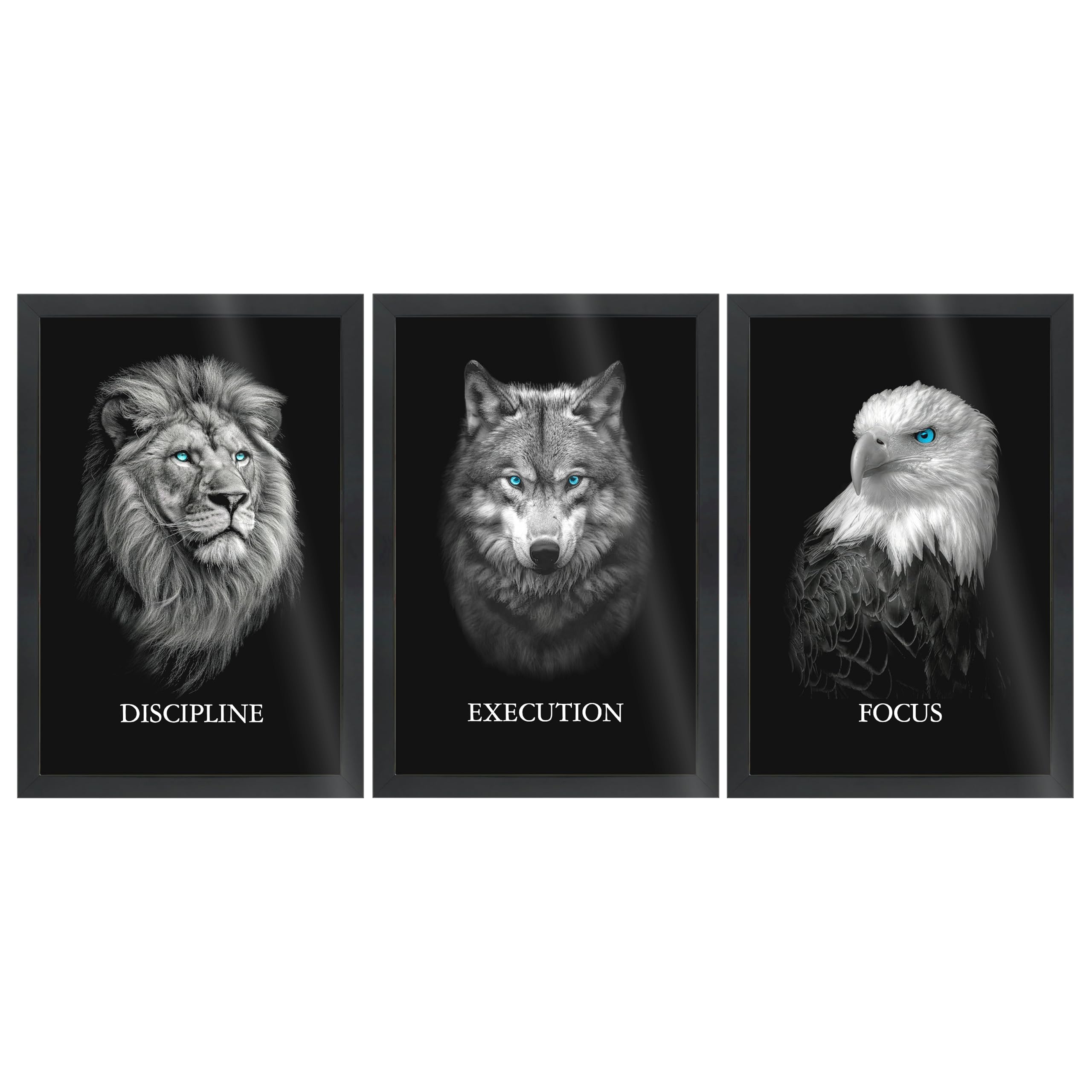Motivational Wall Frames - Discipline, Execution, Focus Rectangular Photo Frame | Lion, Wolf & Eagle Inspirational Quotes - Modern Black and White Wall Photo Frames for Home & Office (Set Of 3 ) - A4 Size-image-22