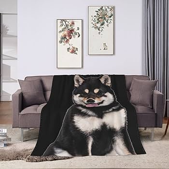 Amazon｜毛布 柴犬 犬柄 黒柴 アニメ 軽量 ブランケット