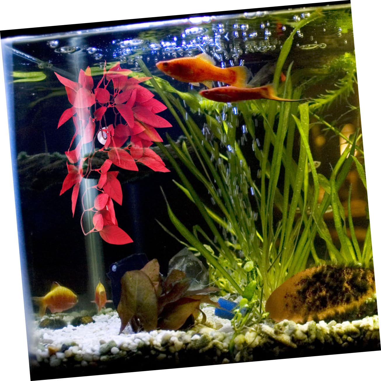 POPETPOP 8piezas Artificiales para Terrario y De Decoración Resistente para Reptiles Imitación De Agua Accesorios para Hábitats De