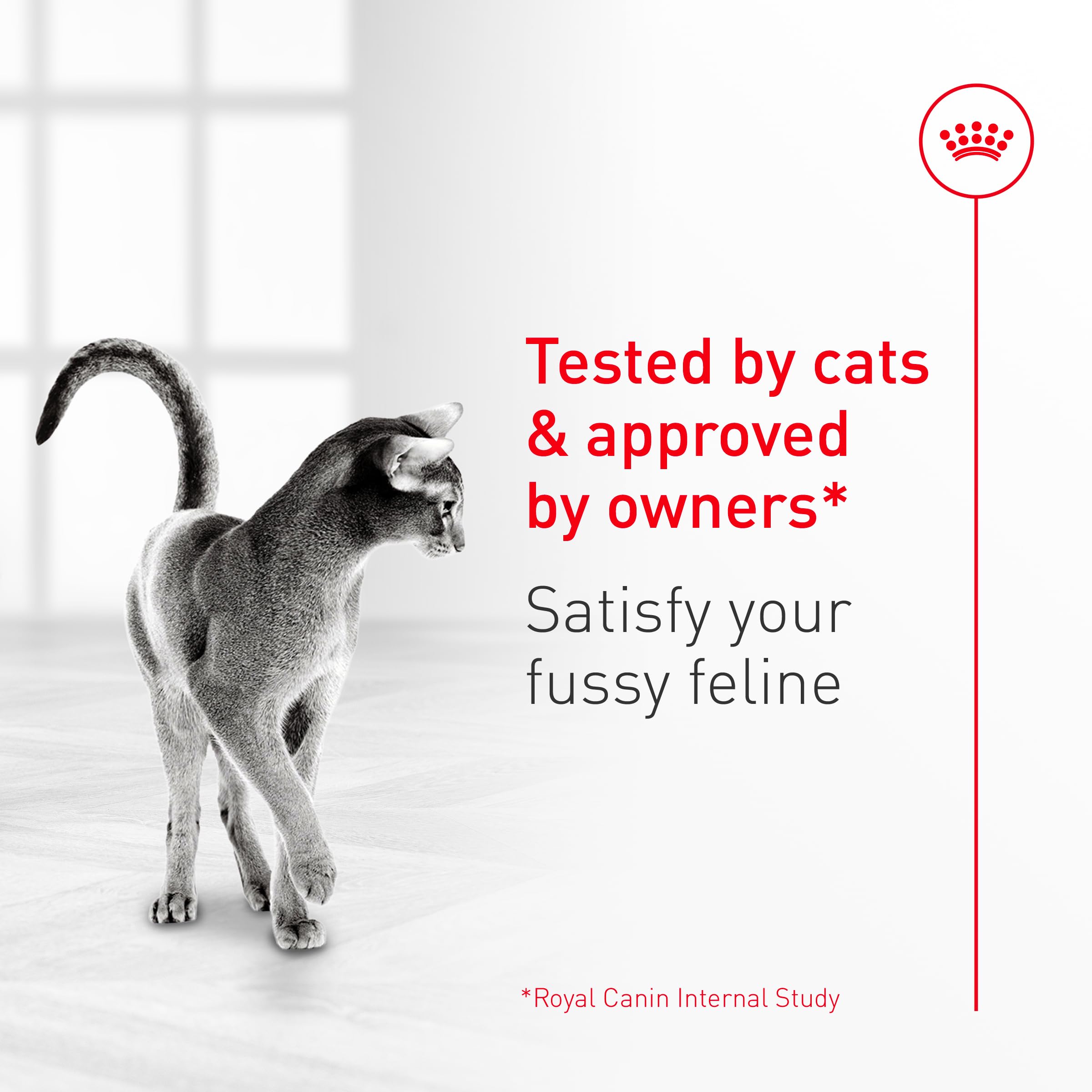 Royal Canin Fussy Katzenfutter trocken für ausgewachsene Katzen, Eiweißreiche Trockenfutter für wählerische Esser, Geflügelbasis, Unterstützt gesundes Gewicht und Harngesundheit, 3,2 kg Beutel