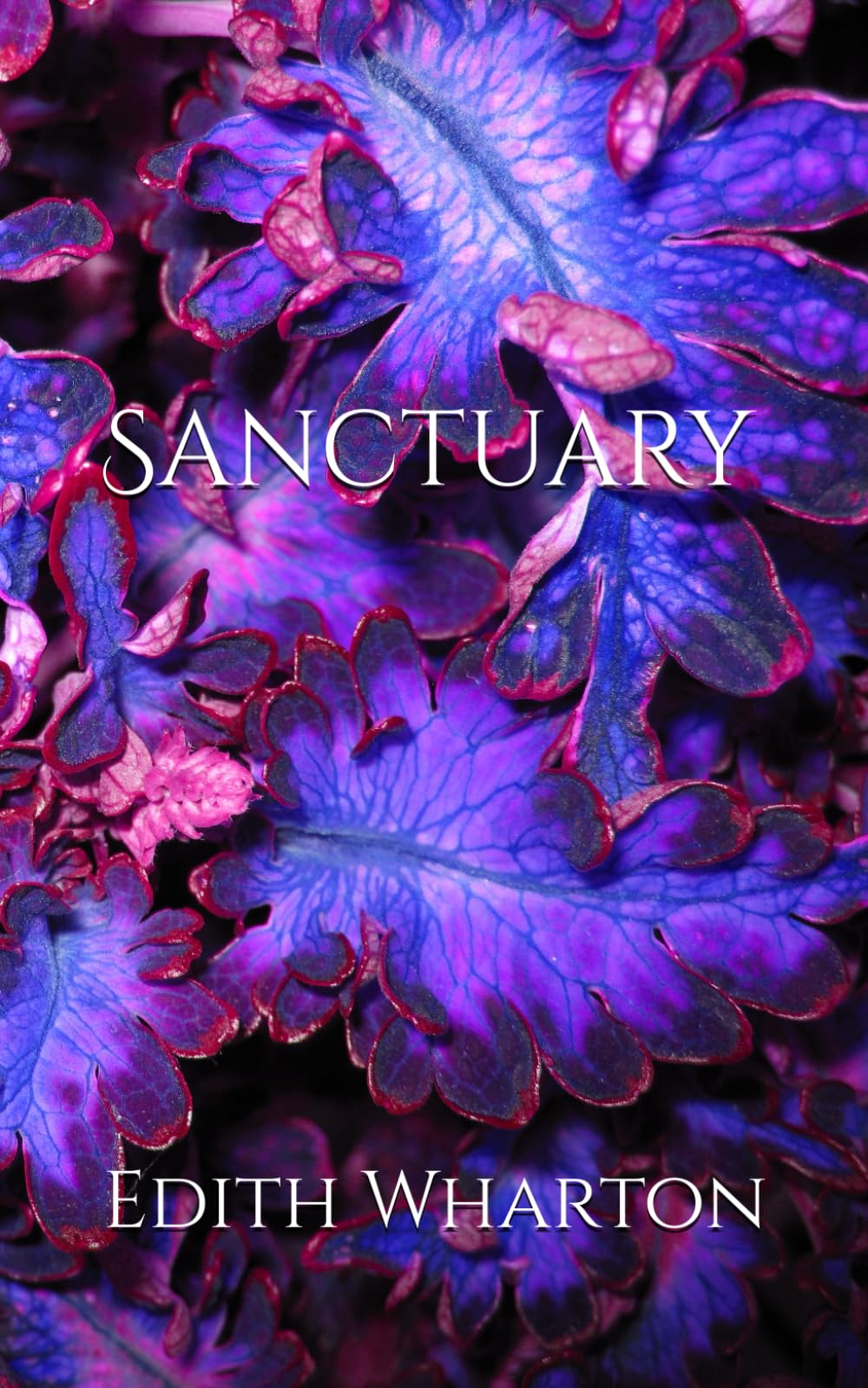 Sanctuary: A Journey Through Moral Choices