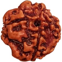 4 Mukhi Rudraksha Bead from Nepal Lab Certified Natural Four Face Rudraksh for Meditation, Positive Energy & Spiritual Growth Original Nepali Rudraksha for Daily Puja & Healing Use