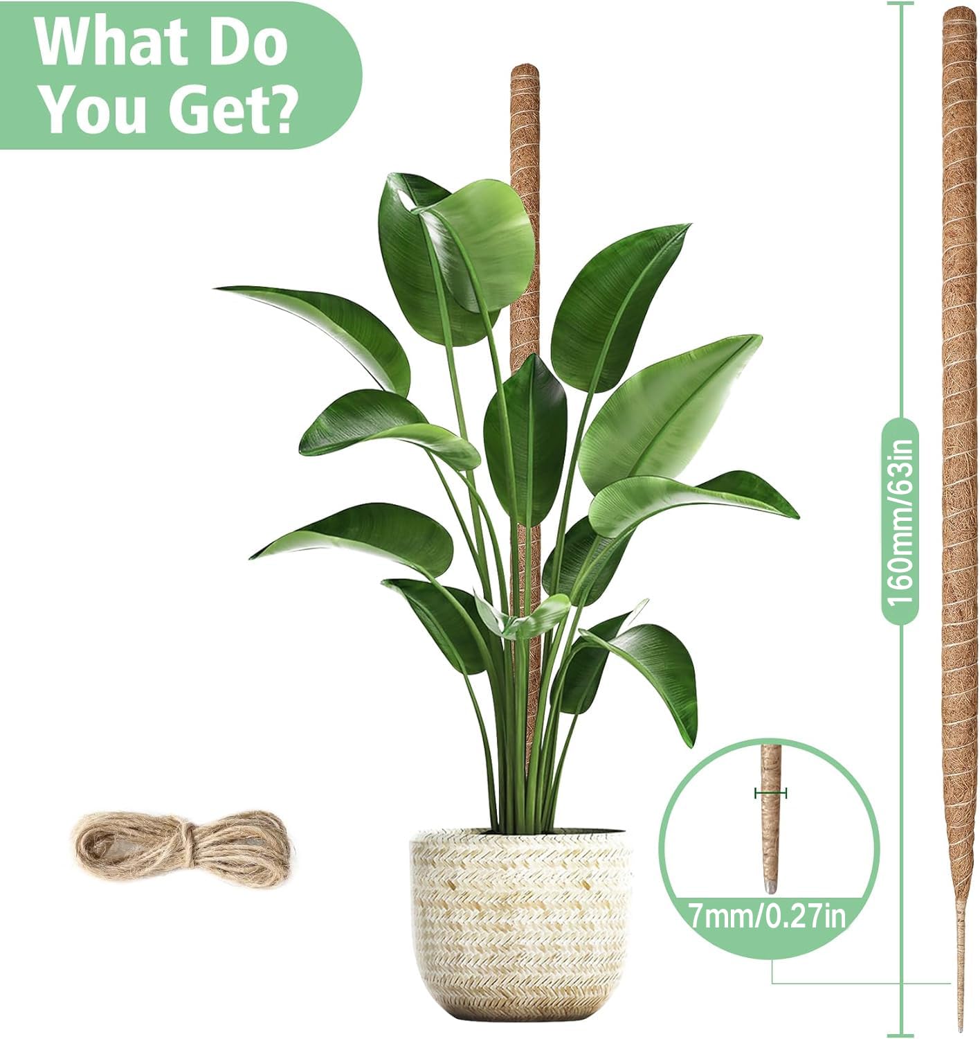 TsLolly Moss Pole,160cm Moss Pole for Monstera,Plant Supports for Indoor Plants Climbing Pole Potted Bendable DIY Shape,Cheese Plant Support Moss Poles for Plants - Image 2