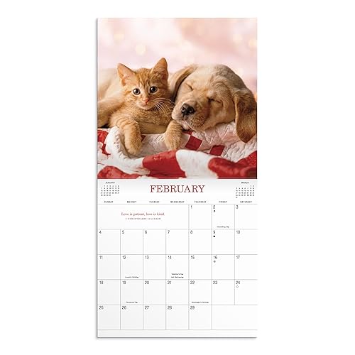 Miniatura 3 de Whisker & Paws 2024 Wall Calendar A 2024 Inspirational DaySpring Calendar - Puppy and Kitten Calendar