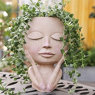 Face Flower Pot Head Planter Succulent Planter Cute Resin Cactus Planter with Drainage Hole for Indoor Plant Succulent Plant , Living Room Bedroom Tabletop Decor