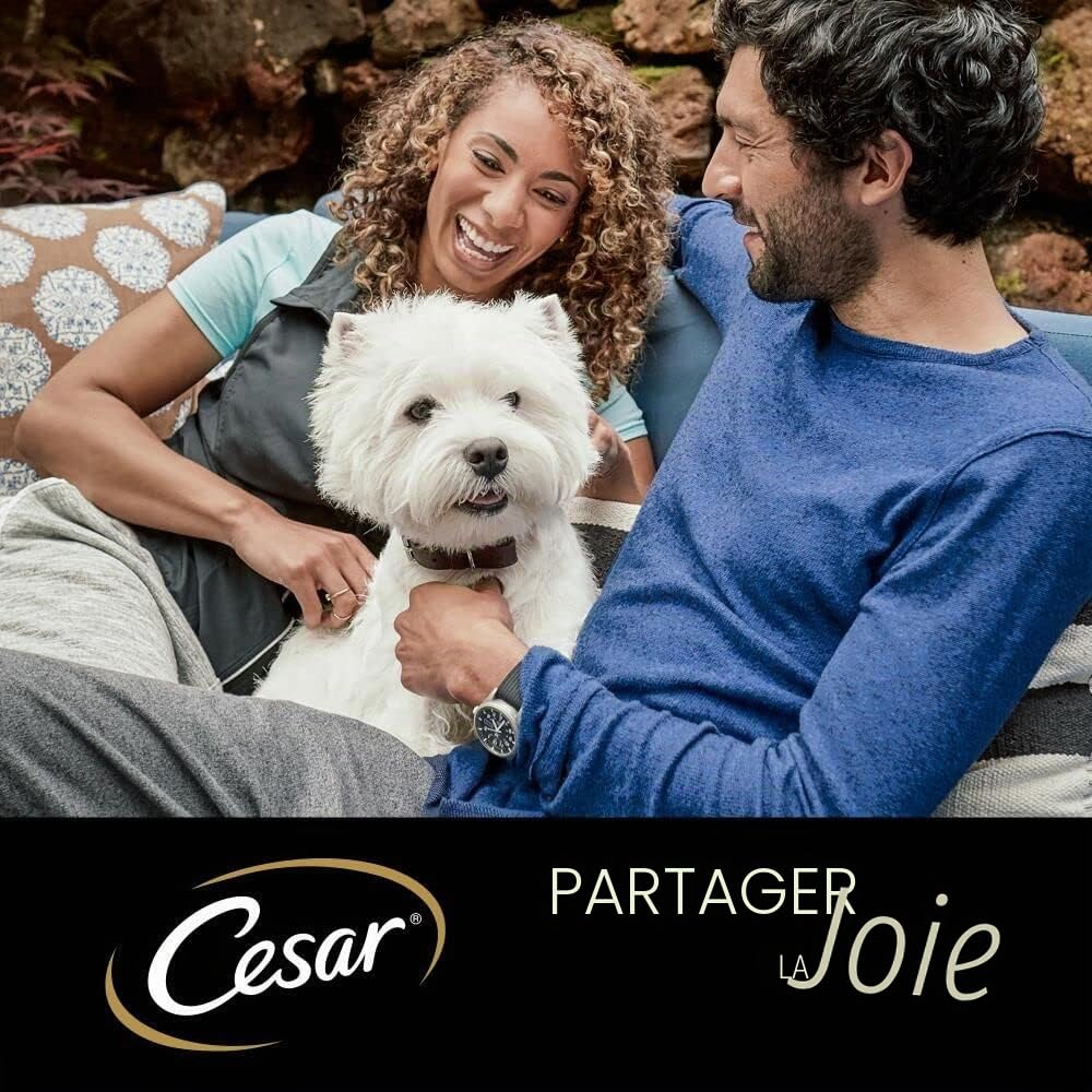 Cesar Megapack - Terrine Classique - Nourriture Humide pour Chien dans Un Bol - 4 variétés en Multipack - 24 x 150 g