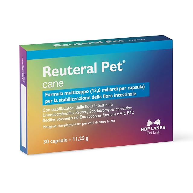 NBF Lanes - Reuteral Pet Cane, 30 Cápsulas, Probiótico a Base de fermentos lácticos Vivos…