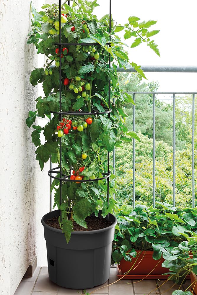 Tymar Doniczka na pomidory, donica na pomidory, balkon, z kratką dla roślin pnących, ze zbiornikiem wody (5 sztuk, ø 35 cm)