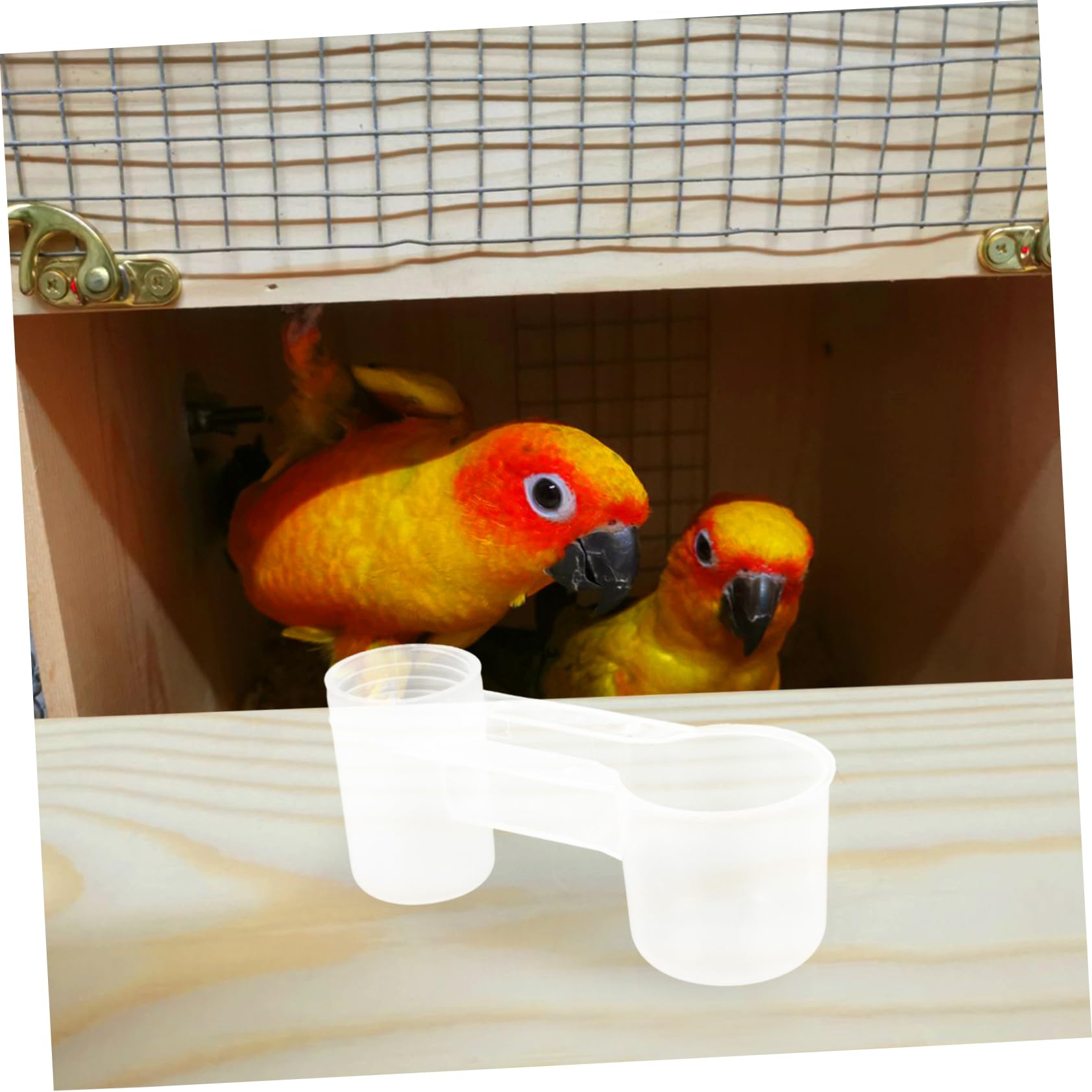 Abaodam Bebedero Automático y Diseño Innovador Doble Puerto para Aves y Loros Plástico Resistente Pack de 10 Unidades para Uso en Casa o Conservación