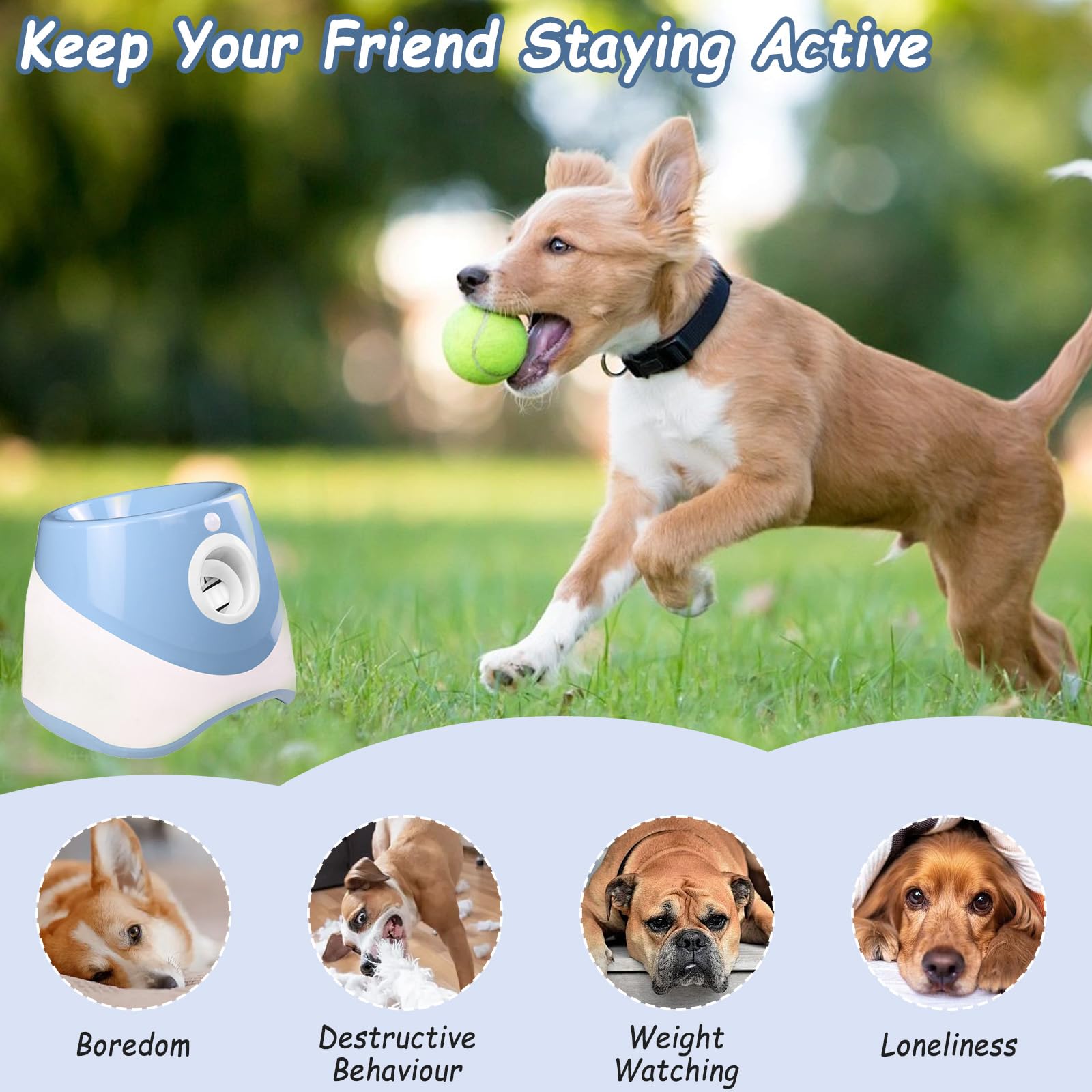HAMON Lanzador de bolas automático para perros, máquina de lanzamiento de bolas para perros con 6 pelotas de tenis, máquina interactiva para perros pequeños y medianos, distancia de lanzamiento entre