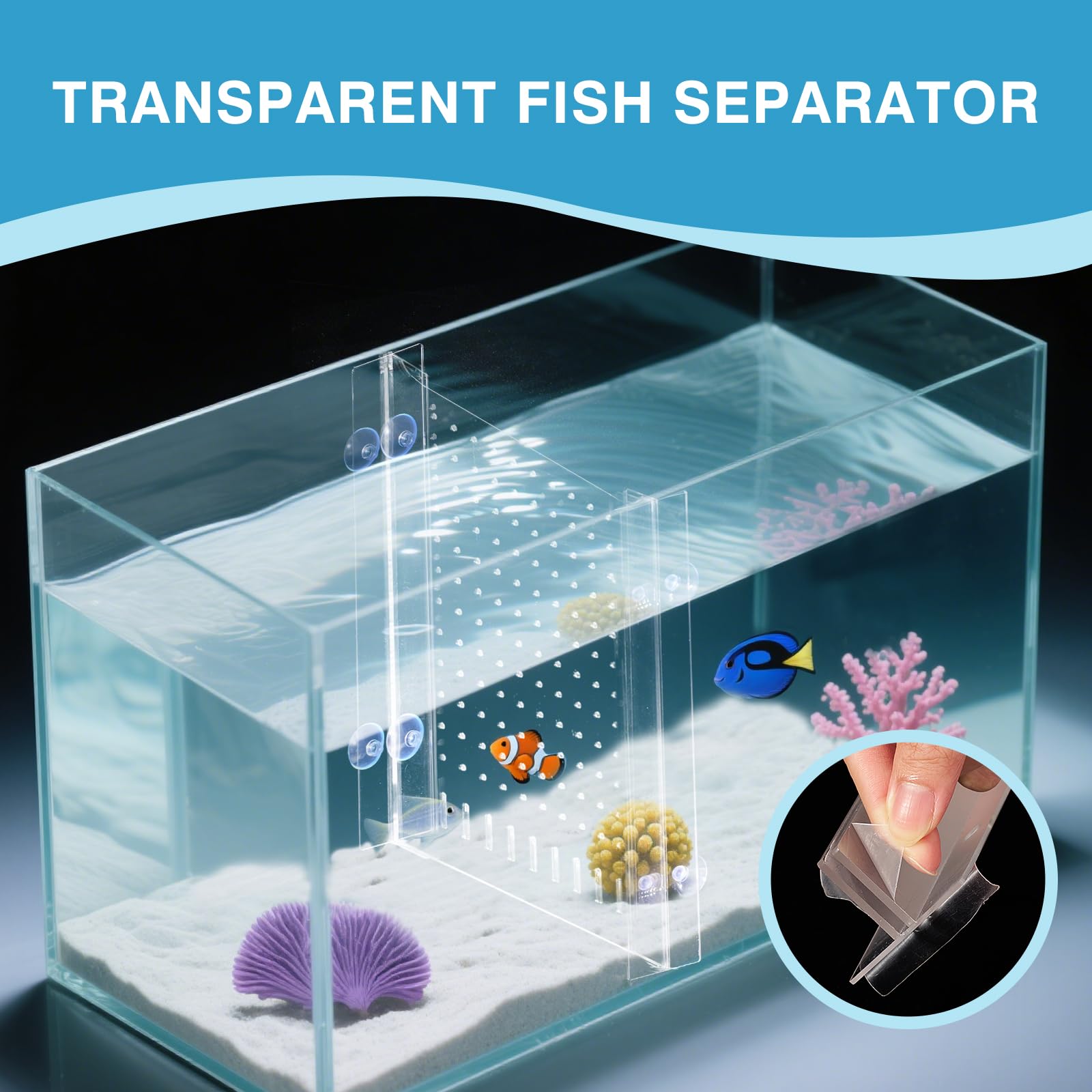 Séparateur d'aquarium avec ventouse, séparateur d'aquarium réglable en acrylique, séparateur transparent pour aquarium de 5,6 x 28,9 cm (28,9 x 28,9 cm)