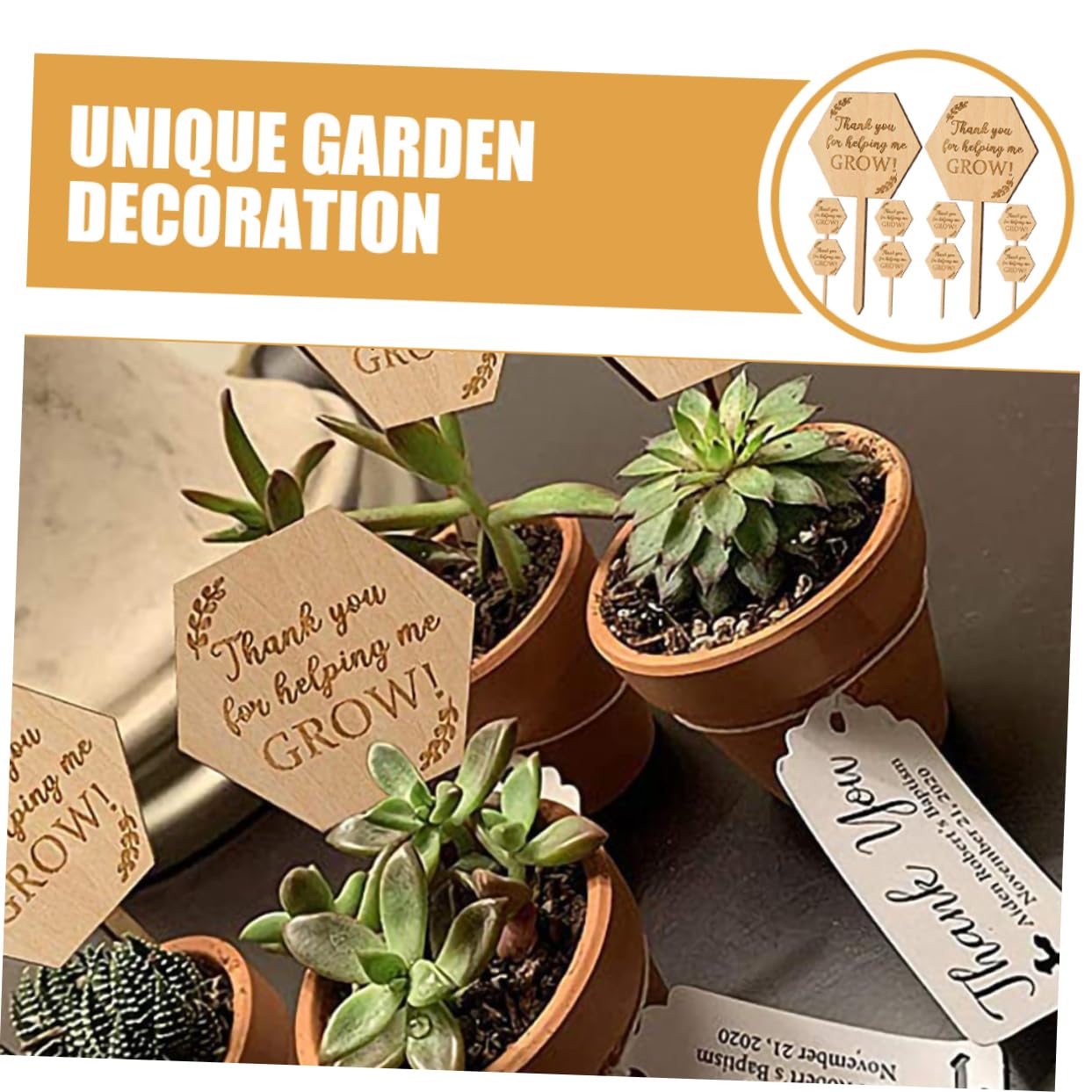 ifundom 5 Set Carta Succulenta Marcatori Da Giardino Etichette Delle Piante Pianta All'aperto Pannelli Di Identificazione Dei Fiori Dell'etichetta Del Vaso Di Legno 20 Pezzi * 5