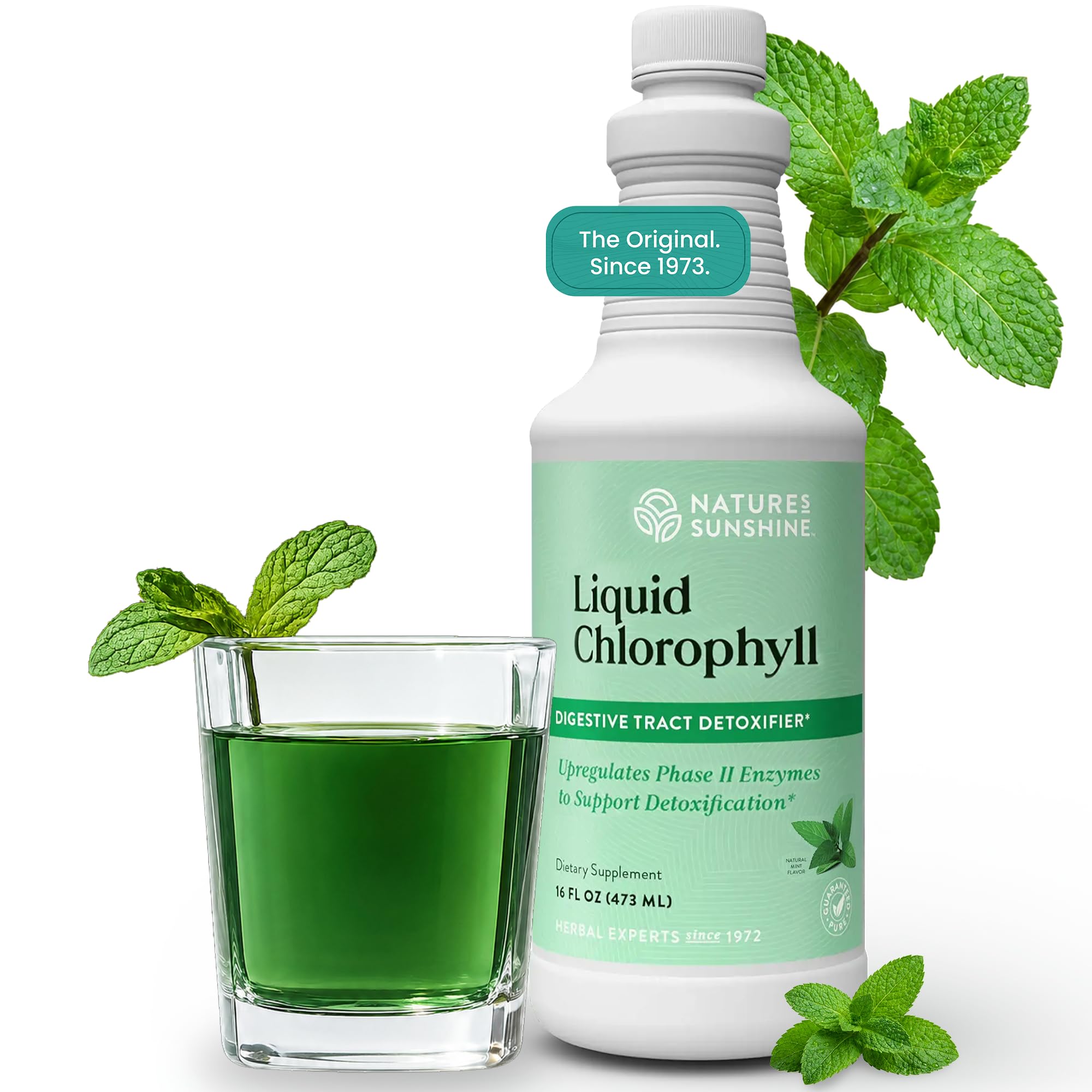 Nature's Sunshine Liquid Chlorophyll - Immunity Support, Detox & Cleanse, Chlorophyll Liquid Drops with Spearmint Oil, Natural Energy Boost, Internal Deodorant - 16 Fl Oz Original 16 Fl Oz (Pack of 1)