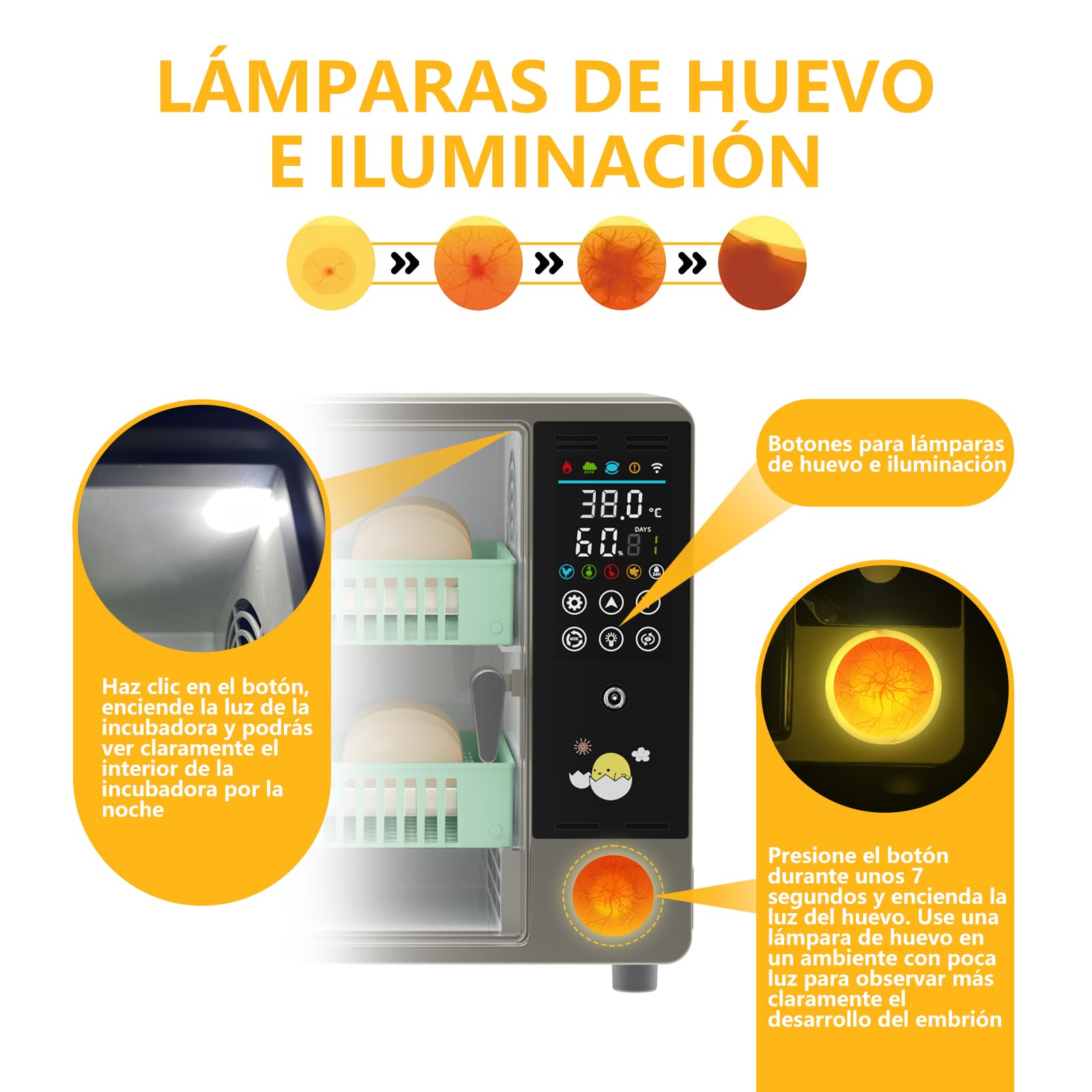 Incubadora Huevos Gallina, Incubadora de 18-24 Huevos, Incubadora Automática con Volteo Automático de Huevos y Añadir Agua Automáticamente