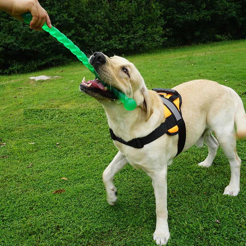2 Pieces Hundespielzeug Für Zähne, Hundespielzeug Gummi, Gummi Spirale Kauknochen, Hundezahnbürste Haustier Mundpflege, Hundemolarenstab Welpen Intelligenzspielzeug Weich Beißwiderstand, Rot + Grün