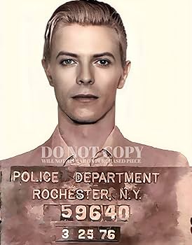 Amazon.com: David Bowie Mugshot 11 X 14 - Magnificent 1976