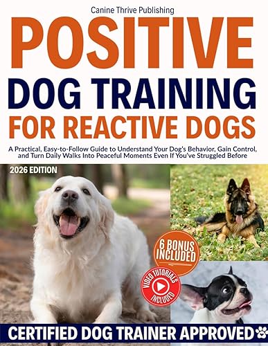 Positive Dog Training for Reactive Dogs: A Practical, Easy-to-Follow Guide