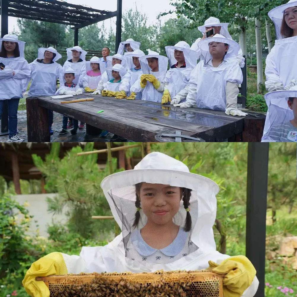 ALL'AQUILA UN CORSO FORMATIVO PER APICOLTORI IN ERBA - Virtù Quotidiane