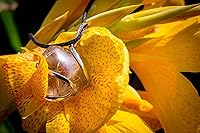 Vista 3 de AYANA - Collar de cuarzo rutilado dorado para mujer, hecho a mano, cristal de cuarzo de origen ético para equilibrio emocional y manifestación