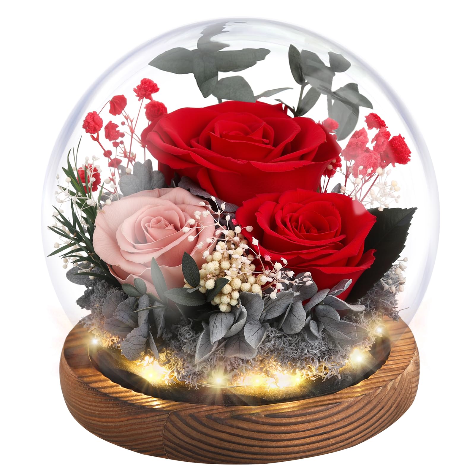 beseloa Rosa Eterna in Vetro con LED Luce,Rosa Bella e la Bestia