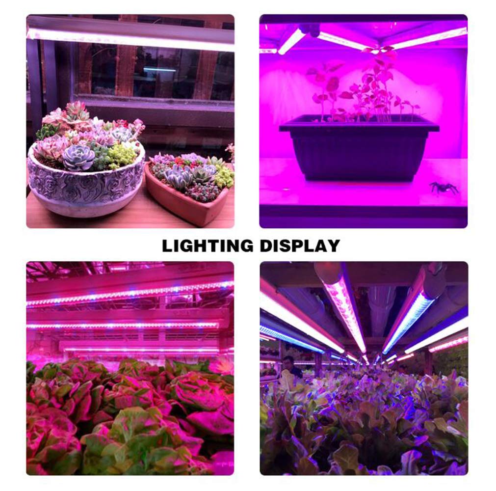 LED Crece la lámpara 5PCS Full Spectrum LED Crece la luz de Garland Invernadero hidropónico Vegetal Flor Cultivo de Interior