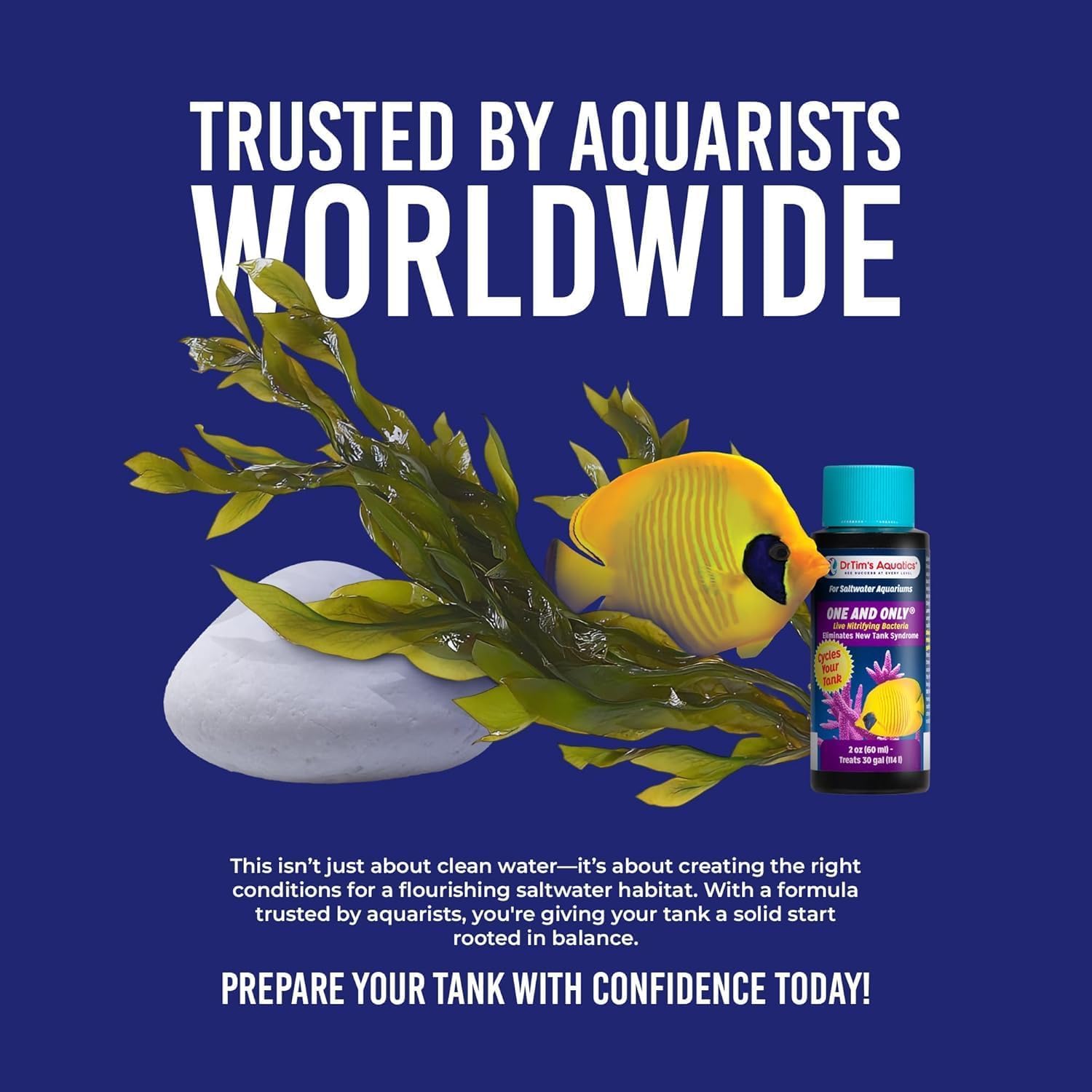 Dr Tim's Aquatics Jedyne w swoim rodzaju bakterie nitryfikujące w słonej wodzie – do nowych zbiorników rybnych, akwariów, filtrowania wody, leczenia chorób - H20 Pure Fish Tank Cleaner - usuwa toksyny