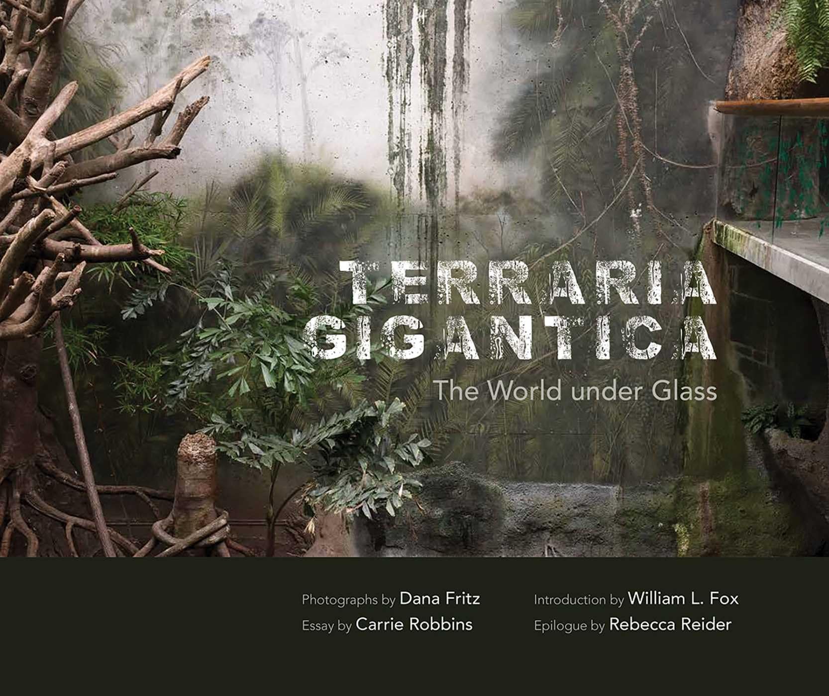 Terraria Gigantica: The World Under Glass