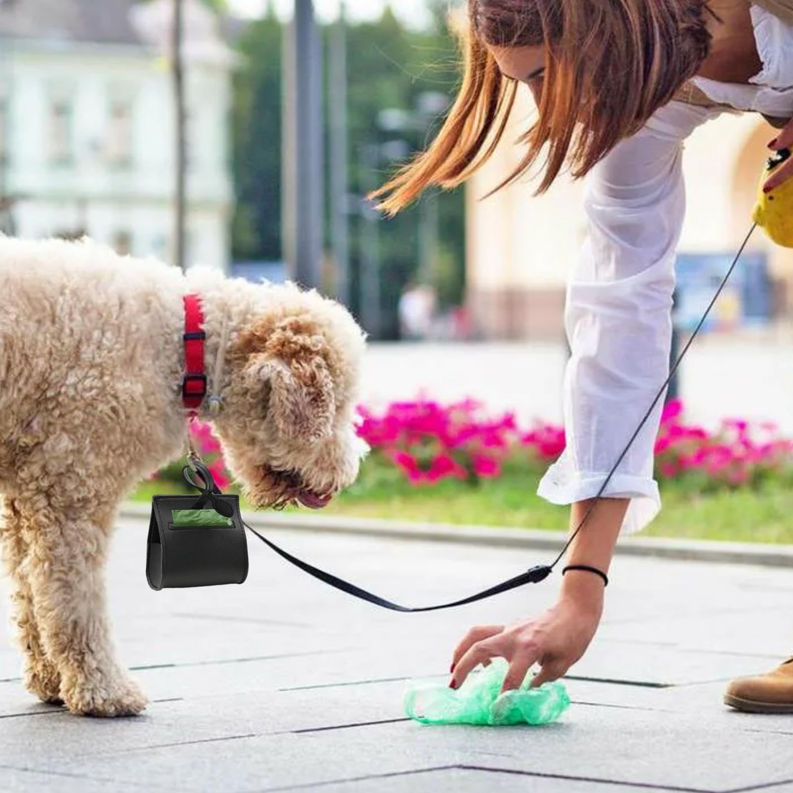 Kotbeutelhalter für Hunde, Kotbeutelspender für Haustiere