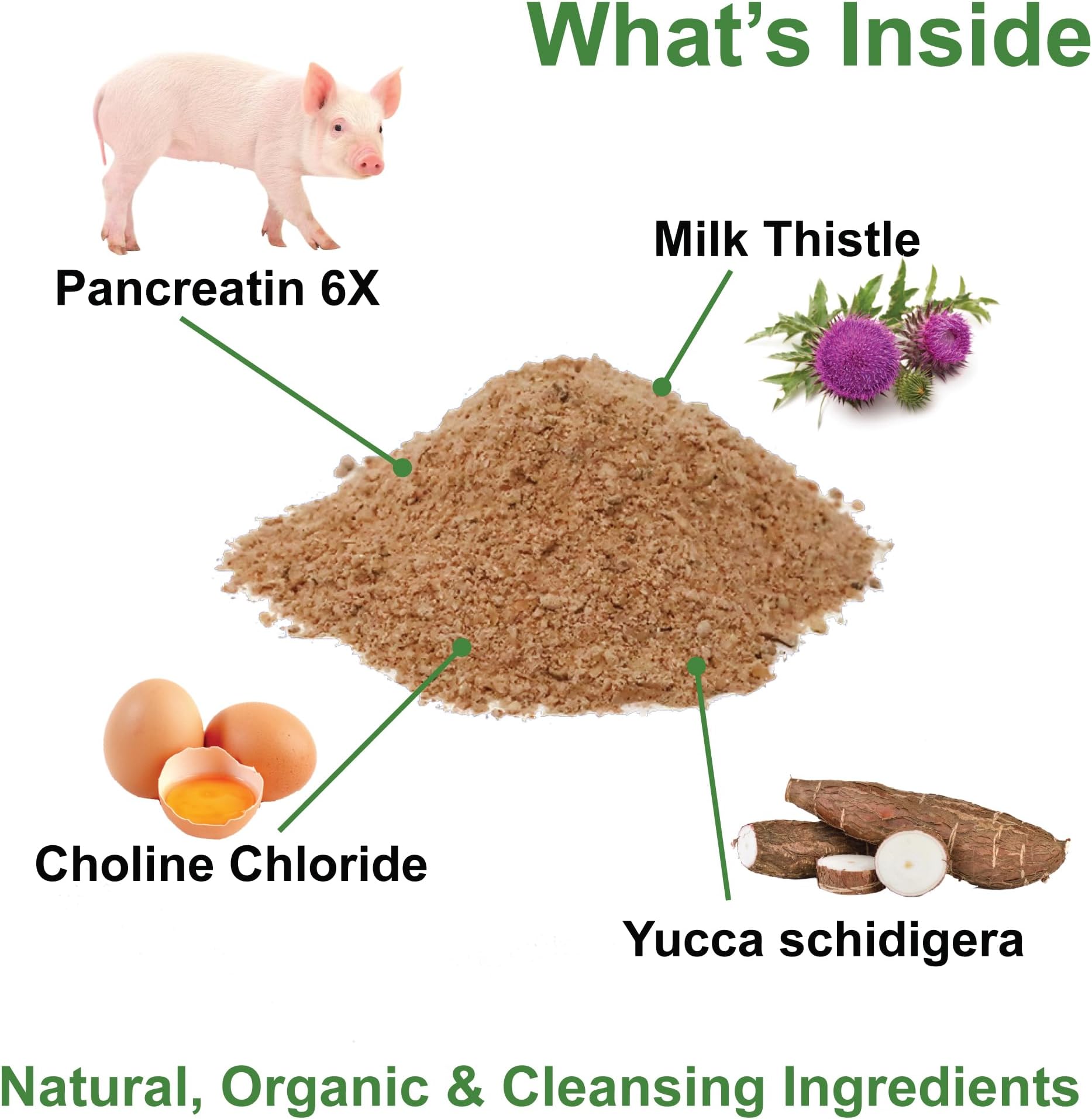 Dogzymes Pancreas Support (2 Pound)