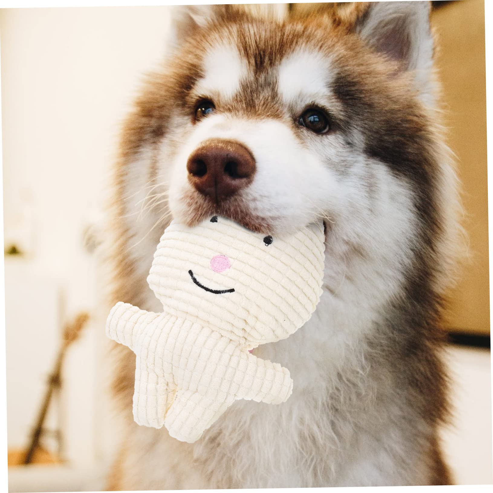 Toddmomy 5piezas Juguete De Peluche para Perros Squeaker Juguete Interactivo para Mascotas para Masticar Duradero para Cachorros y Perros Pequeños