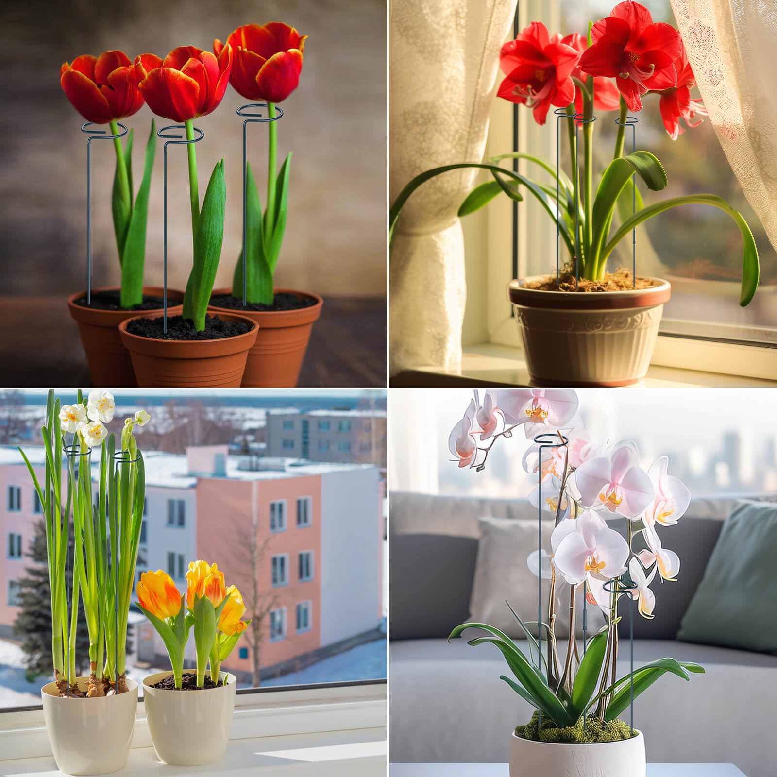 Amazon.com : 4 Pack Plant Support Stakes, 16/32 Inch Garden Stakes