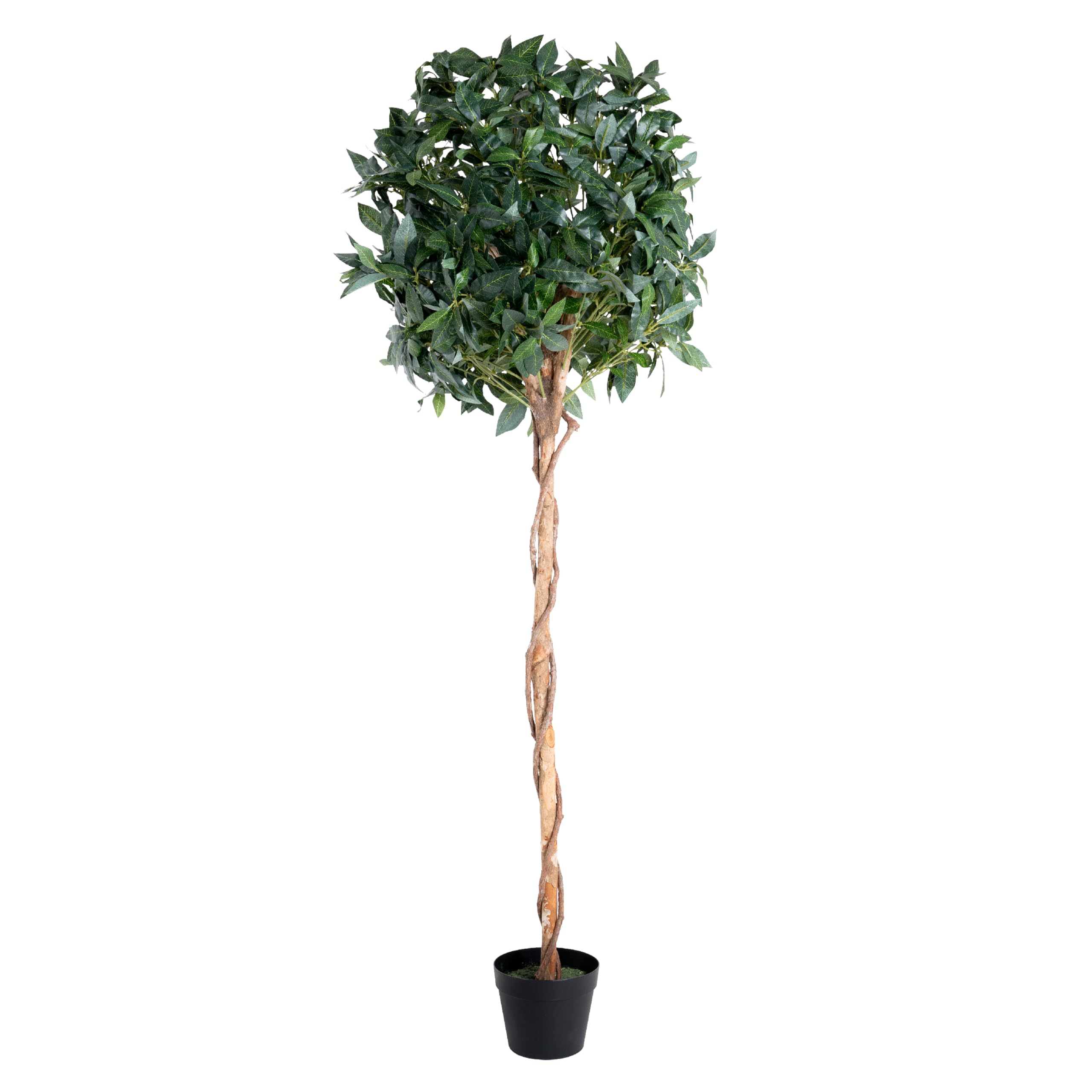 Blooming Artificial - Artificial Bay Tree in Pot for Garden, Home, and Office, Year Round Decorative Foliage, UV and Water Resistant (Green) (150cm) — image 1