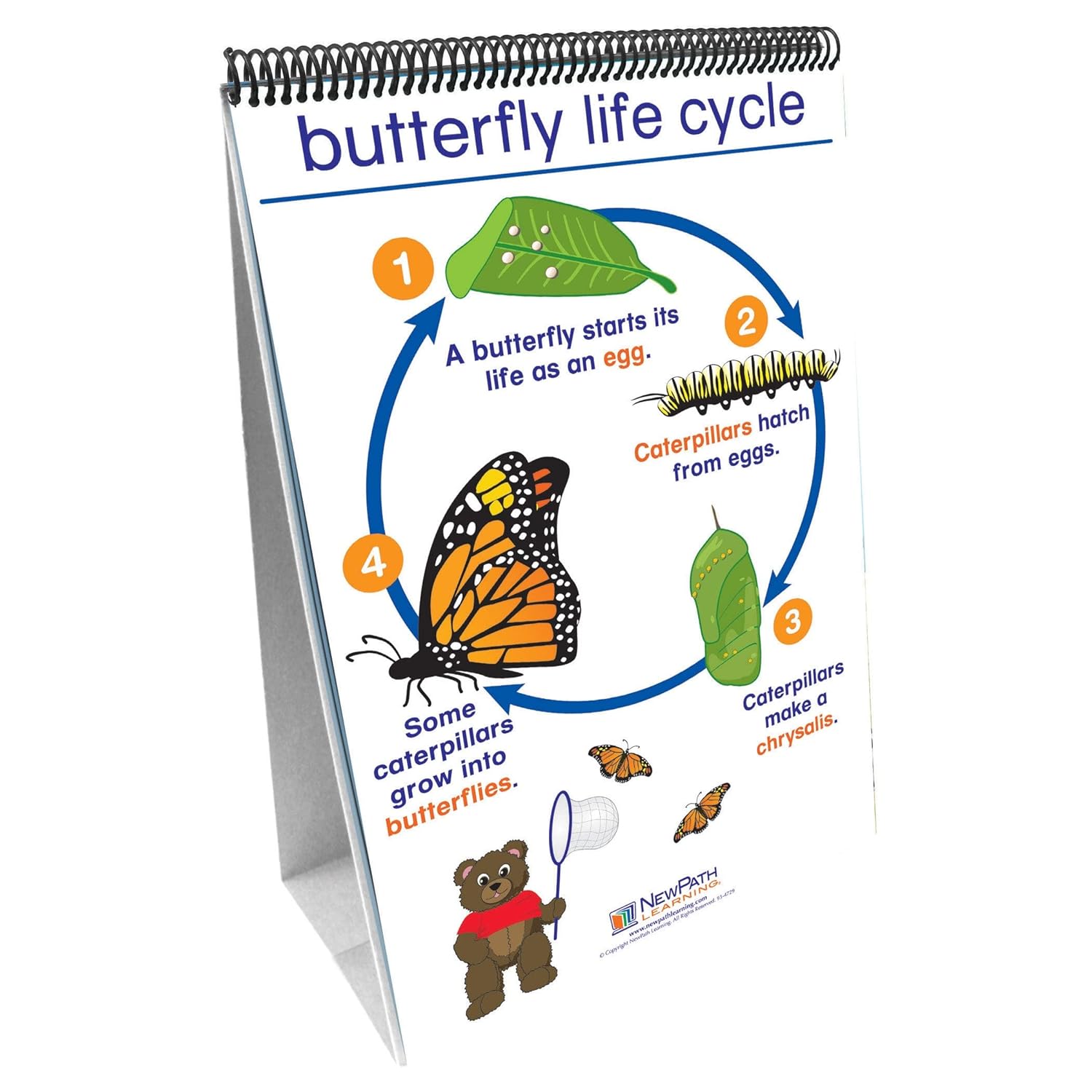 NewPath Learning All About Animals Curriculum Mastery Flip Chart Set, Early Childhood